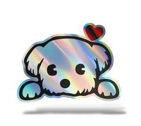 Sticker Olografico Fluo CANE MALTESE Adesivo Decal Moto Casco Army Murale Casa