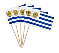 stidsds 100 pz Bandiera Uruguay Uruguayan stuzzicadenti bandiere mini piccolo Uruguay Cupcake topper bastone bandiere banner festa country cocktail frutta decorazione