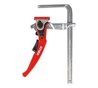 STIER Morsetto a leva in tutto acciaio SHZ 160/60 Quantità:1