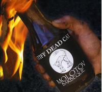 Stiff Dead Cat - Molotov Barbeque