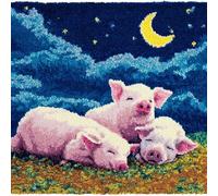 Stile cartone animato Gancio di Chiusura Federa Cuscino Kit,Maialino rosa sotto le stelle e la luna,Fai-da-Te Tappeto Latch Hook Kit,Uncinetto Ricamo Fatto A Mano per Adulti Bambini,43x43cm