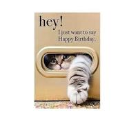 Stile6 Biglietto di Compleanno con Animale che Sbircia, Ehi! Voglio Solo Dire Buon Compleanno, Tema Divertente con Animali per Amanti dei Gatti, con Busta, Biglietti di Auguri