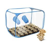 Still Air Box, Set di Contenitori per Funghi in PVC Pop-up, allevamento di funghi, set compatto per Interni, Casa, Giardino, Serra, Mini Casetta per Piante Grasse