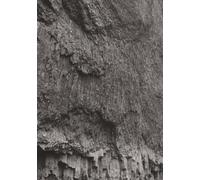 Still Earth: Monochrome Vol. 1 - Strata