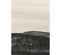 Still Earth: Monochrome Vol. 2 - Cold Range
