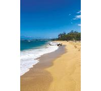 Still Earth - Summer Arc Vol. 1: Summer Flow Arc - Shoreline Calm