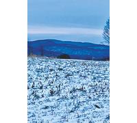 Still Earth - Winter Arc Vol. 1: Winter Quiet Arc - Clear Hush