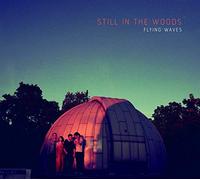Still In The Woods - Flying Waves
