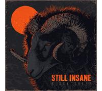 Still Insane Black Sheep (CD)