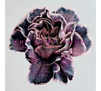 The Slow Show Still Life (CD) Album