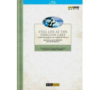 Still Life At The Penguin Cafe' - Penguin Cafe' Orchestra