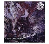 still life moving fast