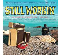 Still Workin': The Best of Surfer Joe, Vol. 1
