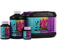 Stimolante della Fioritura B'Cuzz Blossom Builder Liquid (1L)