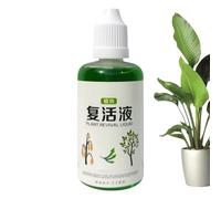 Stimolante Radicale Per Piante - Agente Di Radicazione Per Fiori - 50ml Nutriente Naturale Per Crescita Rapida Sicuro Per Terriccio Compost Fiori Giardino E Talee Di
