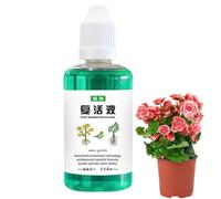 Stimolatore delle radici delle piante - Potenziatore della crescita delle piante da 50 ml, potenziatore delle radici succulente | Fertilizzante per la crescita delle piante, Stimolante della crescita
