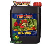 Stimolatore fioritura organico alghe resina volume cime piante top crop big one