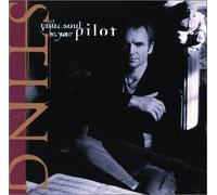 Sting - Let Your Soul Be Your Pilot &