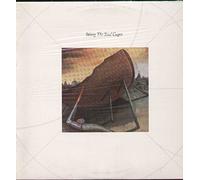 sting - the soul cage