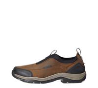 Stivali da equitazione Ariat Terrain Ease H2O Marron 44,5 D