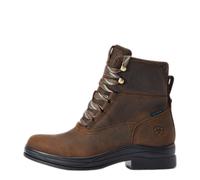 Stivali da equitazione donna Ariat Harper H2O Marron 42B