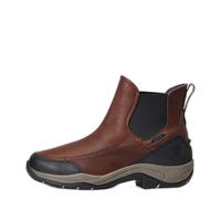 Ariat Terrain Blaze H2O Marron 38B