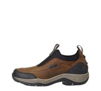 Stivali da equitazione donna Ariat Terrain Ease H2O Marron 37,5 B