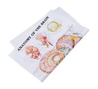 STOBAZA Poster Anatomia Chiara e Dettagliata Supporto Didattico per Studenti e Appassionati Decorazione Parete Cornice Modello Educativo Scheletrico