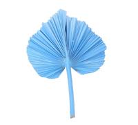 STOBAZA Ventagli A Mano in Foglia di Palma Naturale 1 Pezzo per Decorazioni per Matrimoni Vasi di Fiori E Decorazioni per La Casa