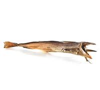 | STOCCAFISSO RAGNO -600 -900 grammi circa Qualità Oro Baccalà Norvegese Secco