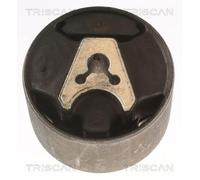 Stoccaggio Motore 8505 28110 Triscan