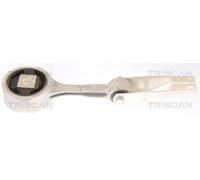 Stoccaggio Motore 8505 29106 Triscan