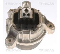 Stoccaggio Motore TRISCAN Per BMW 5 (F10)