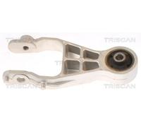 Stoccaggio Motore TRISCAN Per OPEL MERIVA A