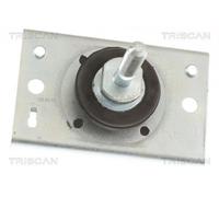 Stoccaggio Motore TRISCAN Per RENAULT MASTER II