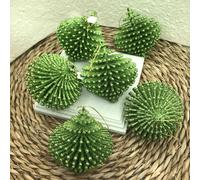 STOCK 6 PZ Appendino Riccio Verde Glitter - Decorazioni Natalizie