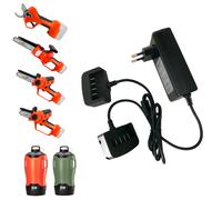 Stocker Caricabatterie doppio 21 V