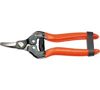 STOCKER Forbice agrumi a Lama Curva 16,5 cm