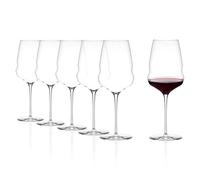 Stölzle Lausitz Bicchieri da Vino Rosso Cocoon Set da 6, 610ml - Bicchieri di Alta Qualità Ideali per il Vino Rosso - Eleganti Calici in Cristallo per un'Esplosione Massima di Aromi