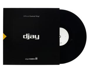 Stokyo djay PRO AI 12" Control Vinyl