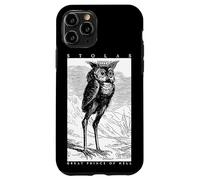 Stolas Gran Principe dell'Inferno Ars Goetia Gufo demone Occulto Custodia per iPhone 11 Pro