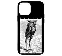 Stolas Gran Principe dell'Inferno Ars Goetia Gufo demone Occulto Custodia per iPhone 12 mini
