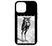 Stolas Gran Principe dell'Inferno Ars Goetia Gufo demone Occulto Custodia per iPhone 12 Pro Max