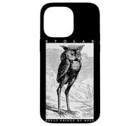 Stolas Gran Principe dell'Inferno Ars Goetia Gufo demone Occulto Custodia per iPhone 14 Pro Max