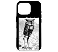 Stolas Gran Principe dell'Inferno Ars Goetia Gufo demone Occulto Custodia per iPhone 16 Pro