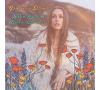 stolen land & broken dreams-Import USA