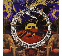 Stone House on Fire Neverending Cycle (Black) (Vinyl LP)