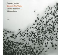 Stone In The Water by Stefano Bollani Trio (2009-10-26)