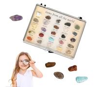 Stone Showcase-Deluxe Storage Box per geologia, scatola di archiviazione per raccolte di rocce, set di insegnanti per pietre naturali e minerali, vetrina per campioni di minerali, vetrina per campioni