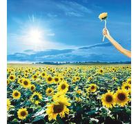 Stone Temple Pilots - Thank You (Sky Blue Coloured) (2 LP)